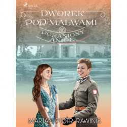 Dworek pod Malwami 46 - Poraniony anioł