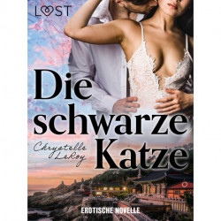 Die schwarze Katze - Erotische Novelle