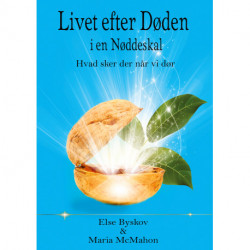 Livet efter døden i en Nøddeskal: Hvad sker der når vi dør?