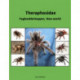 Theraphosidae: Fugleedderkopper, New world