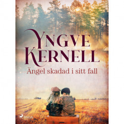 Ängel skadad i sitt fall