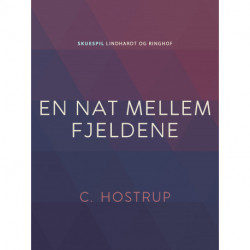 En nat mellem fjeldene