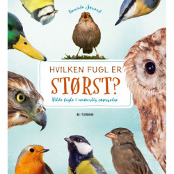 Hvilken fugl er størst?: vilde fugle i naturlig størrelse