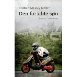 Den fortabte søn: roman