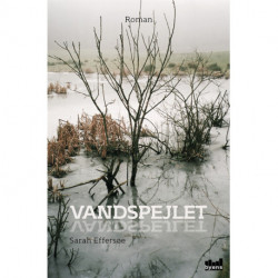 Vandspejlet: roman