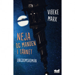 Neja og manden i tårnet: ungdomsroman