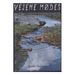 Vejene mødes: roman