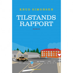 Tilstandsrapport: roman