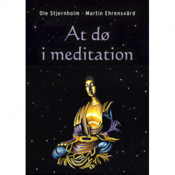 At dø i meditation: buddhistiske meditationer med døden som tema