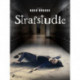 Strafstudie