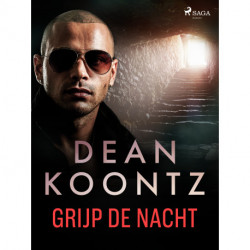 Grijp de nacht