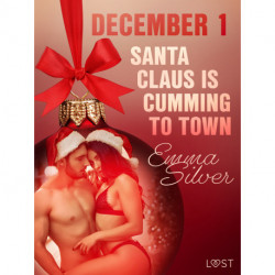December 1: Santa Claus is cumming to town - An Erotic Christmas Calendar