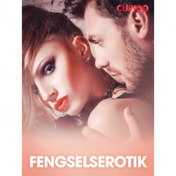 Fengselserotik – erotisk novelle