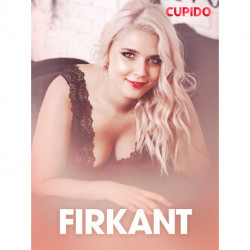 Firkant – erotisk novelle