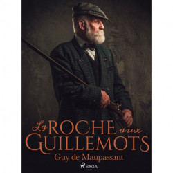 La Roche aux Guillemots