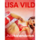 Julekalenderen - erotisk novelle