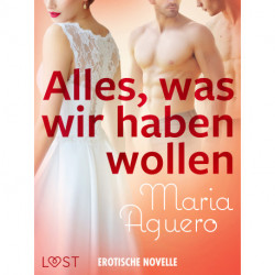 Alles, was wir haben wollen - Erotische Novelle