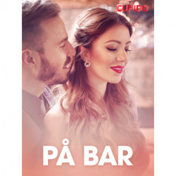 På bar – erotisk novelle