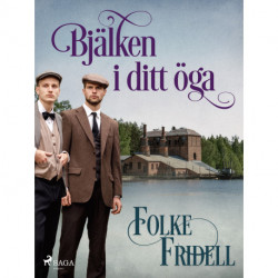 Bjälken i ditt öga