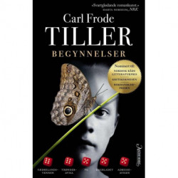 Begynnelser : roman: roman