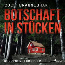 Botschaft in Stücken: Norwegen-Thriller