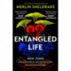 Entangled Life: How Fungi Make Our Worlds, Change Our Minds and Shape Our Futures