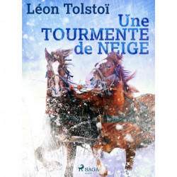 Une tourmente de neige