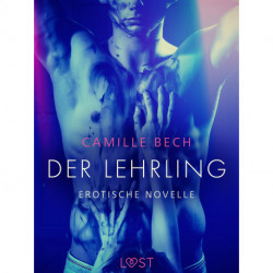 Der Lehrling - Erotische Novelle