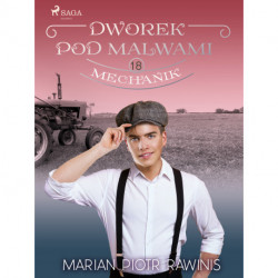 Dworek pod Malwami 18 - Mechanik