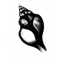 Mens jeg sover, glemmer jeg dig