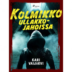 Kolmikko ullakkojahdissa