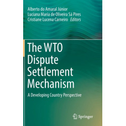 The WTO Dispute Settlement Mechanism: A Developing Country Perspective