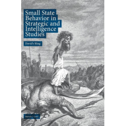 Small State Behavior in Strategic and Intelligence Studies: David’s Sling