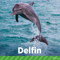 Delfin
