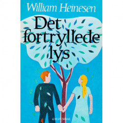 Det fortryllede lys
