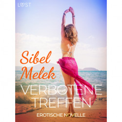 Verbotene Treffen - Erotische Novelle