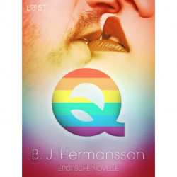 Q - Erotische Novelle