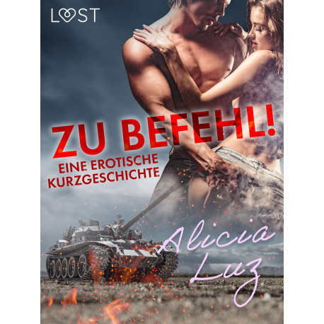 Zu Befehl! Eine erotische Kurzgeschichte