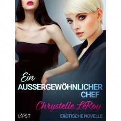 Ein außergewöhnlicher Chef - Erotische Novelle