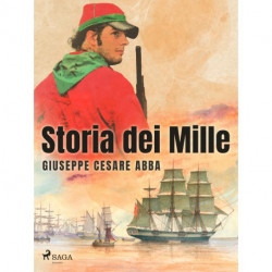 Storia dei Mille