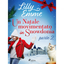 Un Natale movimentato in Snowdonia – parte 2