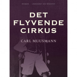 Det flyvende cirkus