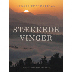 Stækkede vinger