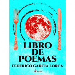 Libro de poemas