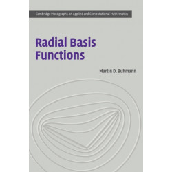 Radial Basis Functions: Theory and Implementations