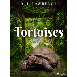 Tortoises