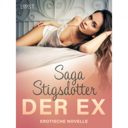 Der Ex - Erotische Novelle