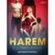Harem - Erotische Novelle