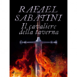 Il cavaliere della taverna