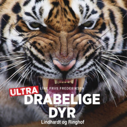 Drabelige dyr